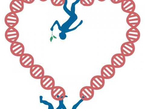 Herz aus DNA-Strang